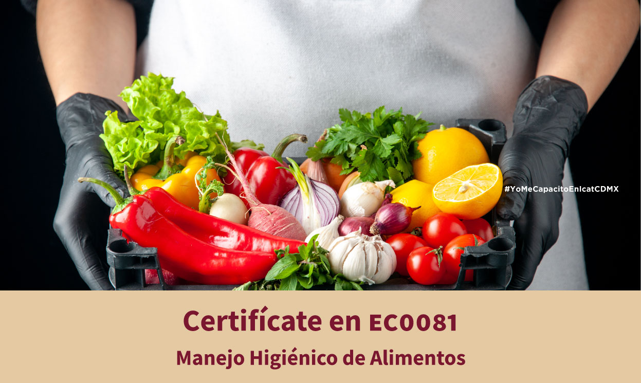 Manejo Higiénico de Alimentos