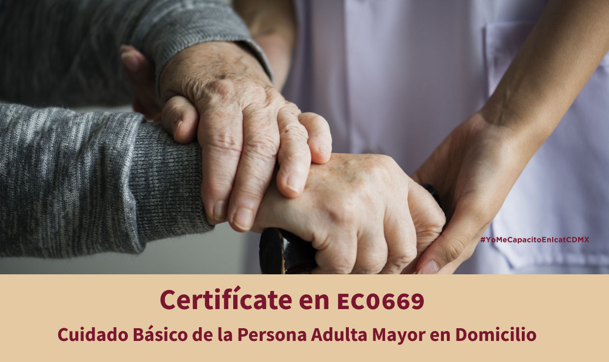 Cuidado Básico de la Persona Adulta Mayor